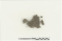 藏品(葉蘚目)的圖片